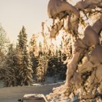 michael odelberth u3pD6evrxfk unsplash